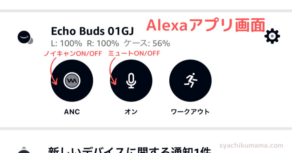 Echo Buds　Alexaアプリでミュート